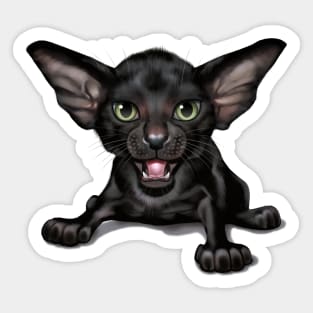 Cat-a-clysm Oriental shorthair kitten Sticker